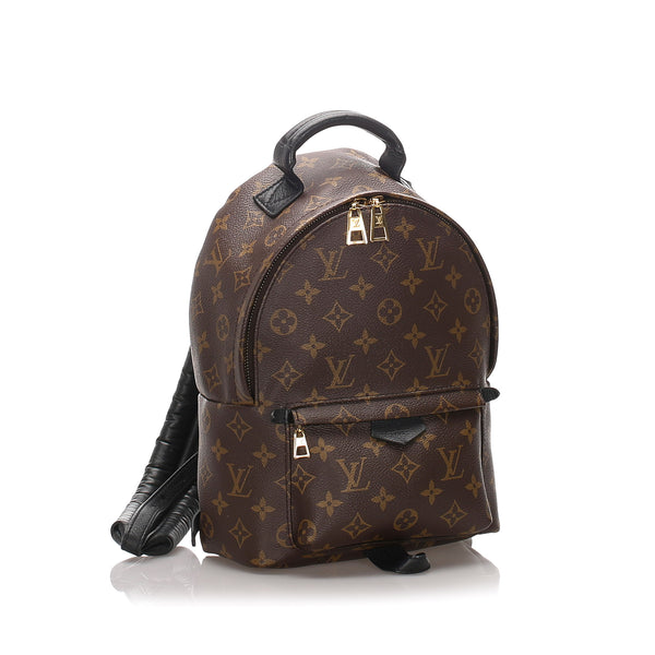 Louis Vuitton Monogram Palm Springs PM