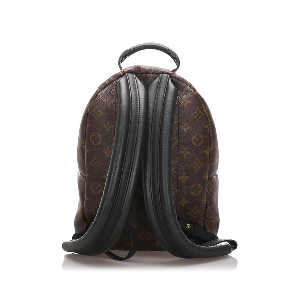 Louis Vuitton Monogram Palm Springs PM