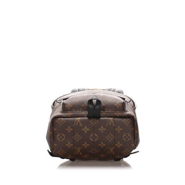 Louis Vuitton Monogram Palm Springs PM