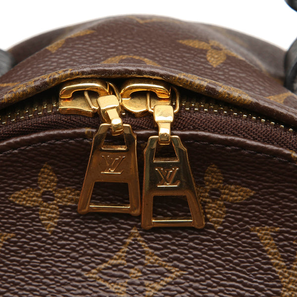 Louis Vuitton Monogram Palm Springs PM