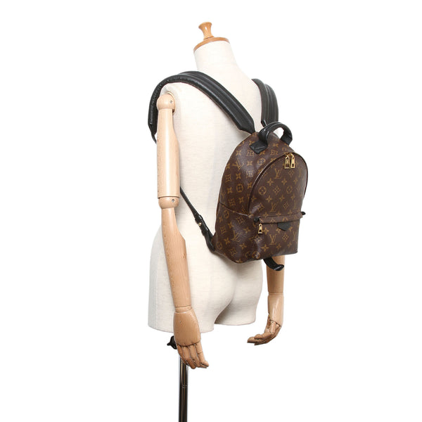 Louis Vuitton Monogram Palm Springs PM
