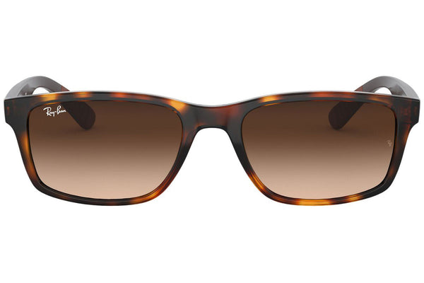 Ray-Ban Men's Sunglasses RB4234 620513