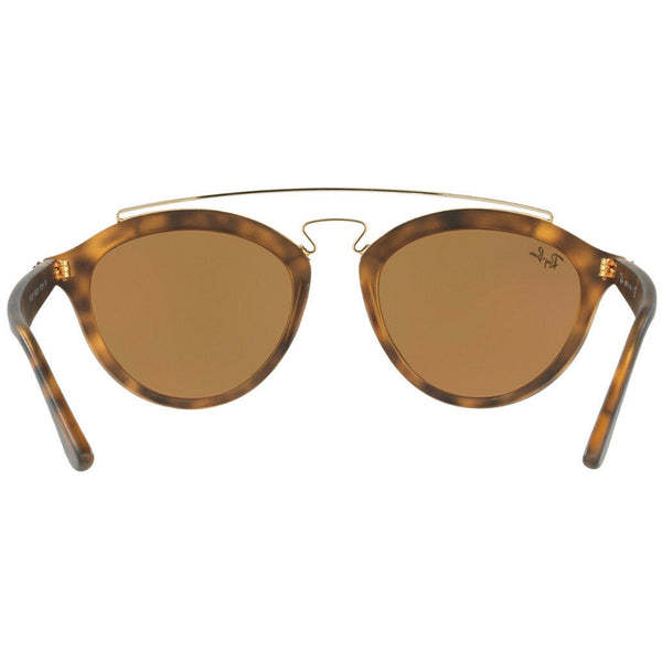 Ray Ban Gatsby II Unisex Sunglasses With Pink Lens - Back