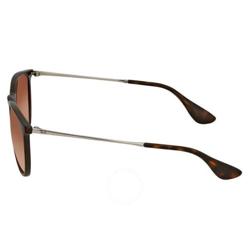 Ray-Ban RB4171 631513 Erika Classic Brown Gradient Phantos Women Sunglasses