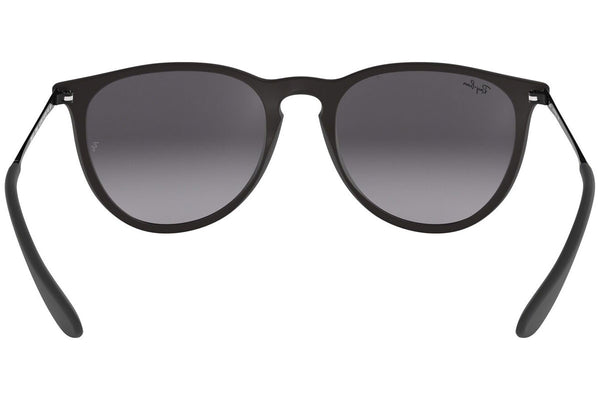 Ray-Ban Sunglasses Erika